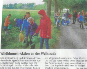 Wildblumen, Artikel WN